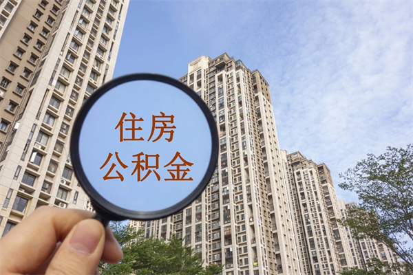 樟树如何把封存离职公积金全部取来（离职封存公积金提取业务）